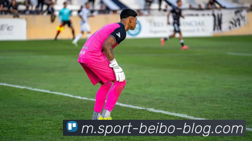 贝博体育服务体系